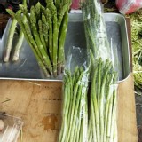 有機-蘆筍(有削皮) 10兩 /包