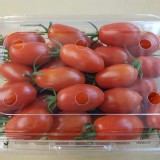 溫室有機玉女小蕃茄一斤盒裝