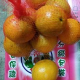 有機-桶柑（年柑）約2斤/袋