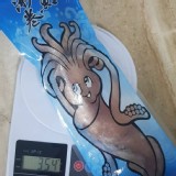 墨魚冰卷 350g /包
