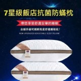 七星酒店抗菌防蟎枕 / 一組2入