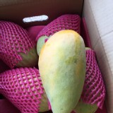 高雄大崗山上面超級Q甜的金煌芒果 5斤禮盒裝