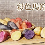 彩色星空馬鈴薯4斤/包（顏色平均分配）