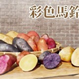 主購代分裝- 彩色星空馬鈴薯2斤/包 (顏色隨機)