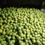 吉園圃-麻豆區-30年以老欉柚子5斤主購分裝塑膠袋 (另有家族價)