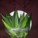 秋葵-250g/包（約25根）