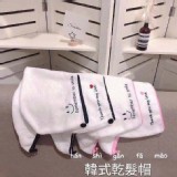 韓式快乾乾髮帽