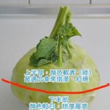 有機-大頭菜(結頭菜)一袋2顆 2.5斤~3斤