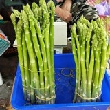 有機-蘆筍(沒削皮) 10兩 /包