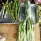 有機-蘆筍(有削皮) 7~8 兩 /包