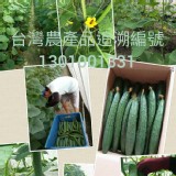 有機-溫室無毒小黃瓜 1斤