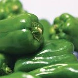 有機-青椒-3顆/袋