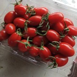 溫室玉女番茄1斤/盒