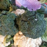 有機-綠花椰菜/朵