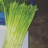 有機-蘆筍花（尾）