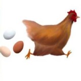 青殼烏骨雞蛋 小家庭1.5斤盒裝 約14顆(依實際稱重為主)