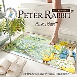 🐰彼得兔療瘉系插畫系列硅藻士吸水地墊 40*60cm(s)