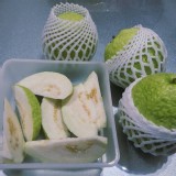 帝王芭樂5斤/袋