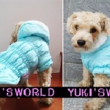 YUKI`S WORLD 泡泡袖舖棉外套防風保暖 藍色【零碼出清特價】