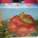 牛奶蓮霧 宜蘭員山鄉果農直購 特價：$300