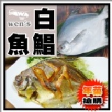 【崇文洋行】--純正血統白鯧魚(300~400g)