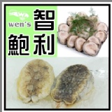 【崇文洋行】-- 智利鮑