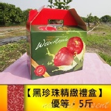 優等黑珍珠蓮霧精緻禮盒，約5斤