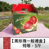特級黑珍珠蓮霧一般禮盒，約5斤