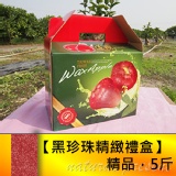 【黑珍珠精緻禮盒】精品，5斤