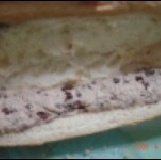 維也納紅豆牛奶麵包(含運) 特價：$28