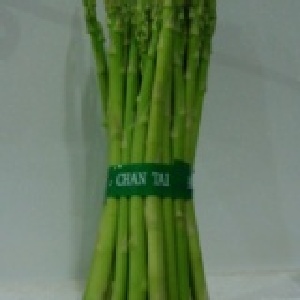 生鮮蘆筍 (B+)-整箱出貨 免削皮(半斤/一箱35把)
