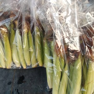 :白龍王水果玉米筍1包2.5斤