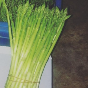 有機-蘆筍花（尾）