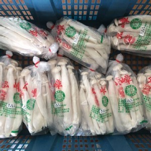 無毒-有機白精靈香菇200g/*2包/組