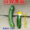 無毒-迷你小黃瓜（一口瓜）2 斤裝（約20~22條）