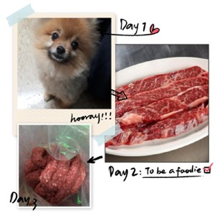 ✌️堅持純天然~寵物牛肉泥