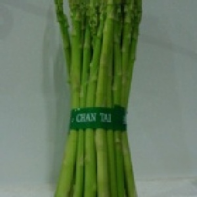 生鮮蘆筍 (B+)-整箱出貨 免削皮