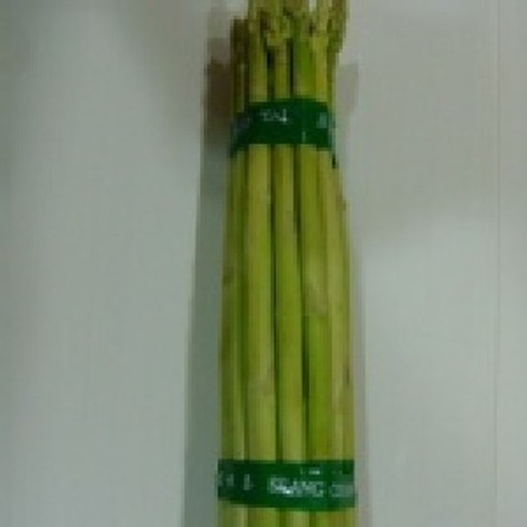 生鮮蘆筍 (A+) 未削皮(半斤/八兩)