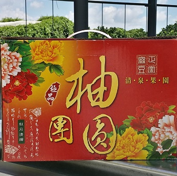 (頂級)柚團圓文旦10斤裝