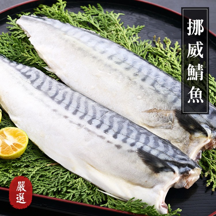 薄鹽挪威鯖魚片(160G/片)