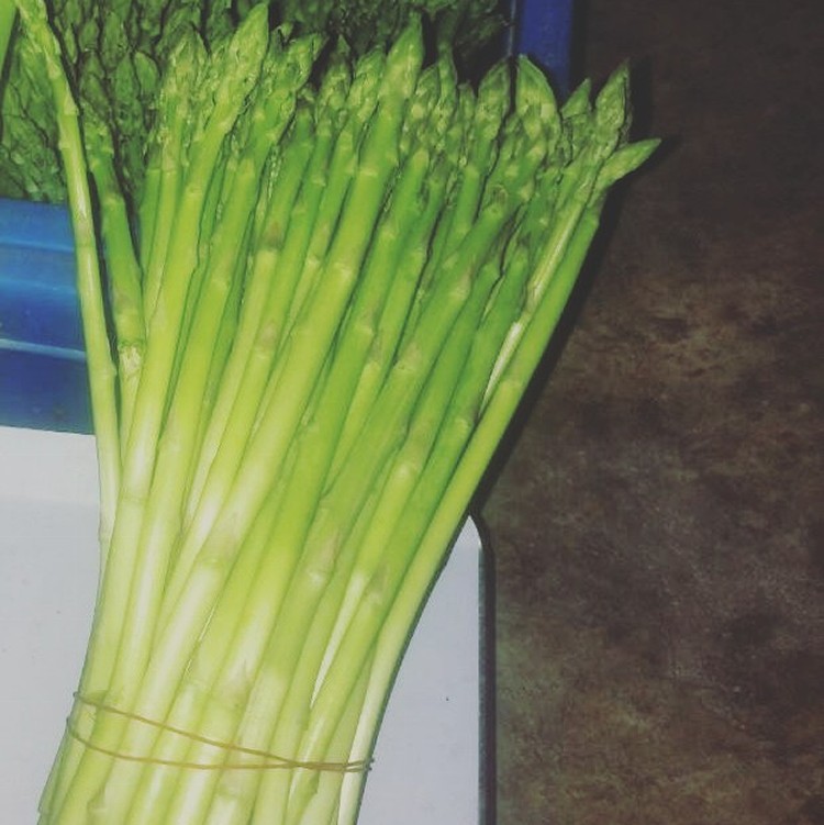 有機-蘆筍花（尾）