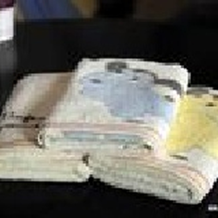 【三葉棉織廠】兒童專用可愛頑皮小狗毛巾~6入 - Yahoo! 奇摩拍賣
