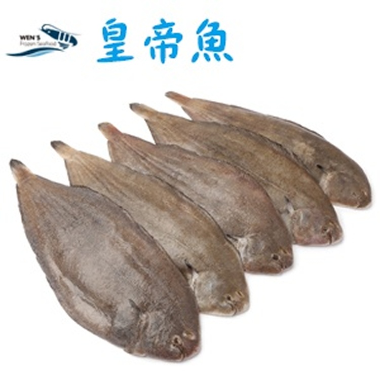 【崇文洋行】--極品皇帝魚 肉質細緻 值得你一試的海洋逸品!!