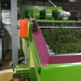 阿里山四季烏龍茶150g