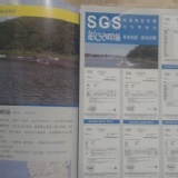 台東無毒蝦600克(約24~30尾) | [分享商店] 台東無毒活凍鮮蝦 - i