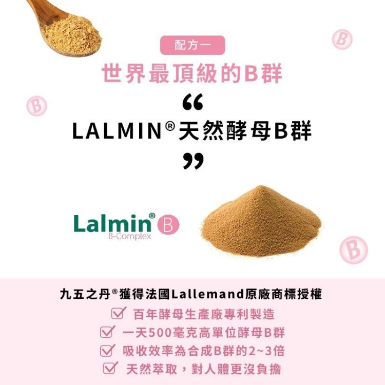 【九五之丹】 天然酵母Ｂ群+微膠囊鐵 (30粒/包)