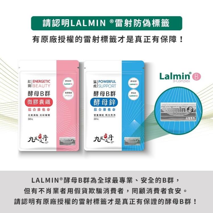 【九五之丹】 天然酵母Ｂ群+微膠囊鐵 (30粒/包)
