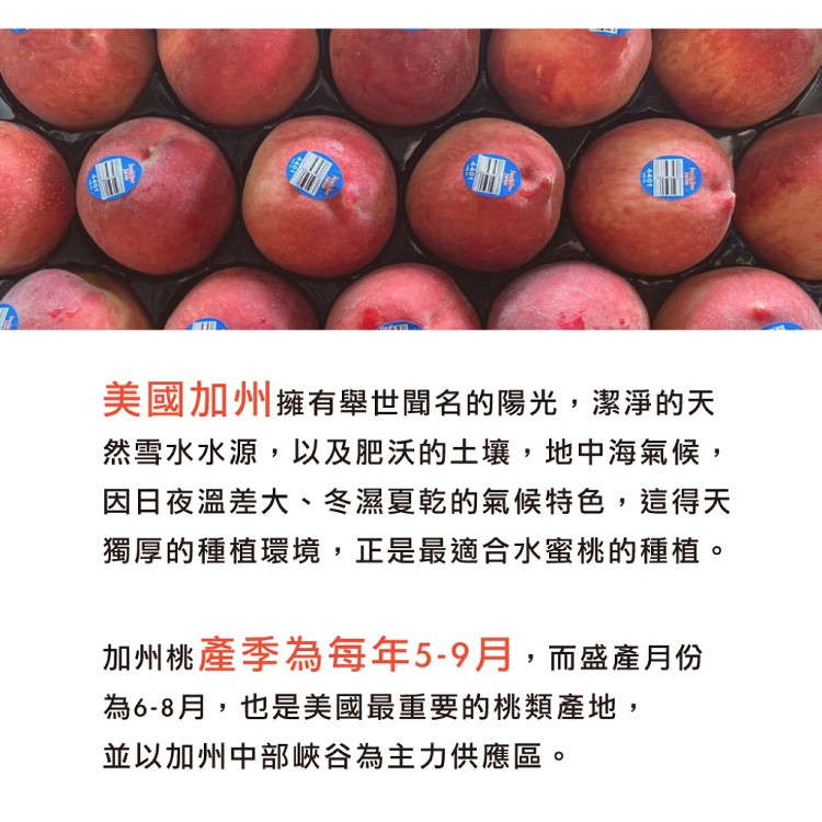 【水果狼】美國空運水蜜桃20-25顆 / 5kg 原裝箱