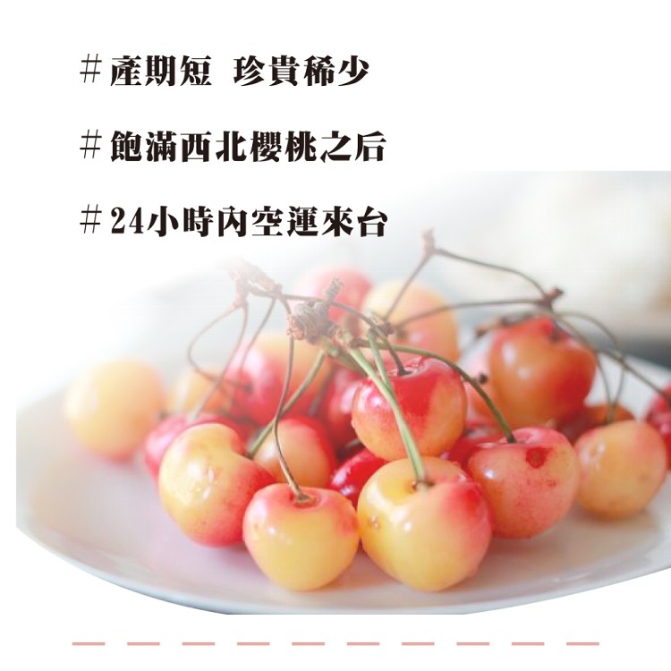 【水果狼】巨無霸！美國西北空運白櫻桃禮盒 8.5R(2kg/盒) 櫻桃 水果禮盒 櫻桃禮盒