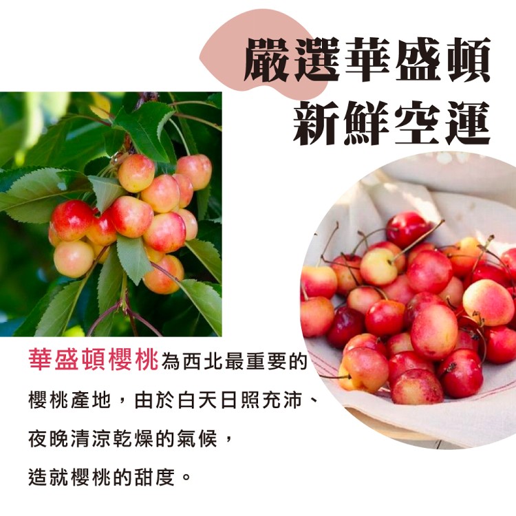 【水果狼】美國西北雙色櫻桃1kg禮盒 白櫻桃＋紅櫻桃 綜合水果禮盒